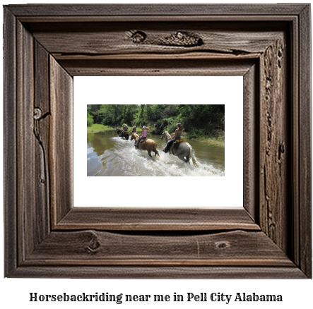 horseback riding near me in Pell City, Alabama